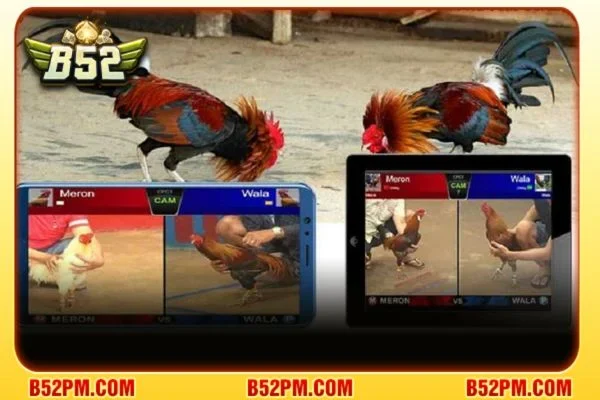 Đá gà B52 2 Cổng game B52 cung cấp đa dạng các loại hình đá gà hấp dẫn.